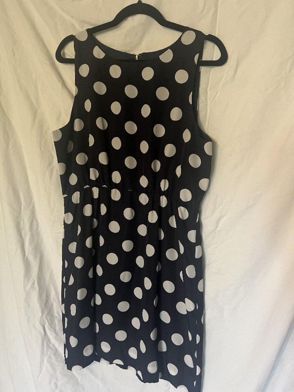 J Crew Polka Dot Dress